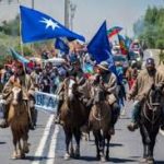 mapuche resistencia