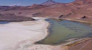 Empresa estadounidense se suma a las que buscan explotar litio en el Salar de Maricunga