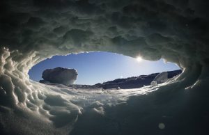 El error ambiental de los tecnoutópicos