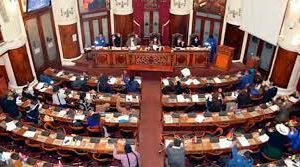 Bolivia – ๐๐๐ง๐๐๐๐ ๐๐ ๐๐ซ๐๐๐ฆ๐จ๐ฌ ๐ฉ๐ข๐๐ซ๐๐ ๐ฅ๐จ๐ฌ ๐๐ฌ๐ญ๐ซ๐ข๐๐จ๐ฌ ๐ฒ ๐๐ ๐ซ๐๐๐ ๐๐จ๐ง ๐ฏ๐ข๐จ๐ฅ๐๐ง๐๐ข๐ ๐ ๐ฆ๐ข๐๐ฆ๐๐ซ๐จ๐ฌ ๐๐ ๐ฅ๐ ๐๐ฌ๐๐ฆ๐๐ฅ๐๐ ๐๐๐ ๐ข๐ฌ๐ฅ๐๐ญ๐ข๐ฏ๐ ๐๐ฅ๐ฎ๐ซ๐ข๐ง๐๐๐ข๐จ๐ง๐๐ฅ