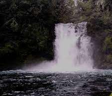 Proceso eco-constituyente: ¿Qué son los bienes comunes naturales?