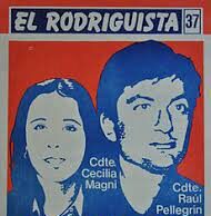 Necesitamos un Poder Judicial que entregue justicia y no impunidad por Carla Pellegrin Friedmann
