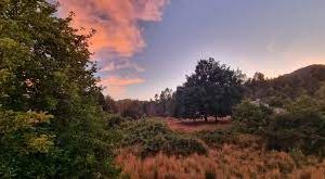 Wallmapu resiste: entre prisión política y aumentos de las condenas durante el gobierno Boric