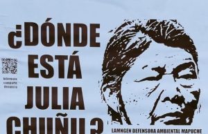 Ver: Julia Chuñil 8 meses desaparecida, manifestación por su aparición con vida