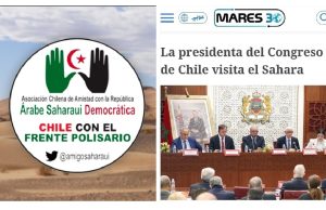 Karol, qué le pasó en el Sahara? Por Guillermo Arenas Escudero