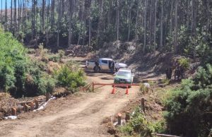 Violenta detención de mujeres mapuche