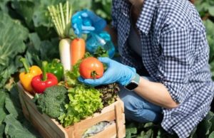 Ver: «Alimentación agroecológica y medio ambiente» entrevista con Guillermos Riveros agrónomo conduce Patricio Guzmán S. Editor de Werken Rojo