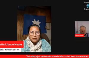 Ver: «Los despojos que están ocurriendo contra las comunidades indígenas» entrevista con la abogada Orieta Llauca conduce Patricio Guzmán S. Editor de Werken Rojo