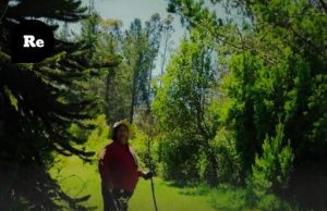 Nación Mapuche. Gobierno de Boric es querellante en causa que mantiene a anciana mapuche con enfermedades de base presa en Temuco: Ya había sido absuelta de delitos similares por falta de pruebas