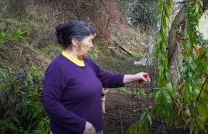 Chile – 8 de marzo de 2025: cuatro meses desde que hicieron desaparecer a Julia Chuñil