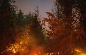 Argentina – Arde la Patagonia: El gobierno de Milei es responsable