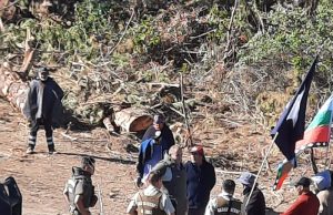Chile – Wallmapu: Forestal Arauco S.A. ha iniciado una ofensiva contra el complejo ceremonial Txen Txen Diñihuenu