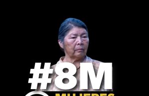 Hostigamiento a familia de Julia Chuñil