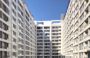 Rumbo a la Ecopatia Cultural: patología colectiva que nos separa de la naturaleza