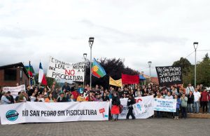 Luchando por la protección del Río San Pedro: Movilización de las comunidades obtiene triunfo judicial contra la industria salmonera