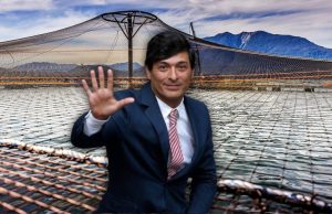 Chile – Franco Parisi prometió catalogar a las organizaciones defensoras de la naturaleza como “terroristas económicos”