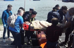 “Salmones de sangre”: Dos buzos muertos en una semana en centros de cultivos