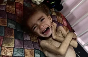 La ONU advierte que 14.000 bebés están al borde de la muerte en Gaza al tiempo que comienza un ingreso limitado de suministros alimentarios al enclave palestino