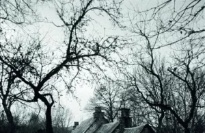 El «silencio de los corderos… y de Boric”