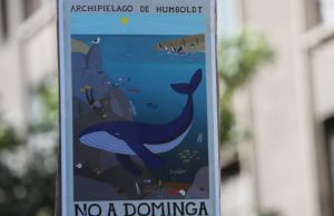 Chile – Amenaza de motosierra ambiental