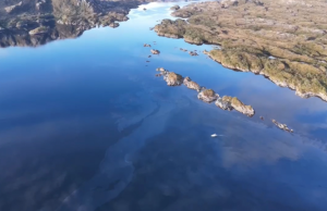 Investigan a compañía salmonera por derrame de petróleo en la Reserva Nacional Kawésqar
