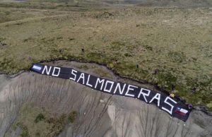 Rafael Cheuquelaf Bradasic: «La industria del salmón es incompatible con la salud del mar»