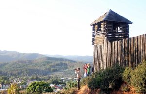 Comunidades Mapuche en Purén rechazan consulta de nuevo sistema de tierras