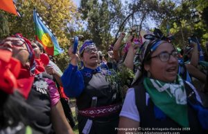 Reclaman ante la ONU por Consulta Indígena de Boric y la califican de «despojo encubierto, perverso y de mala fe»