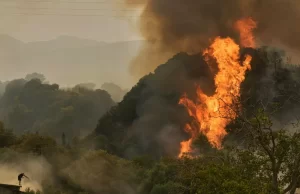 INCENDIOS FORESTALES CATASTROFICOS EN EUROPA