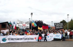 La lucha contra las pisciculturas salmoneras “no es solo ambiental, sino también cultural y espiritual”