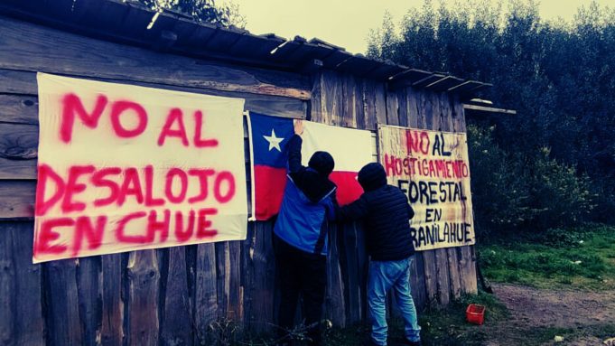«Están todos coludidos, están todos vendidos»: Pobladora de Curanilahue por inminente desalojo demandado por Forestal Arauco y patrocinado por el Gobierno