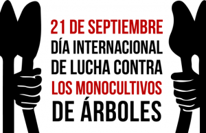 ¡BASTA de monocultivos de árboles!