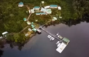 La lógica de Parodi ante los delitos ambientales de Cooke Chile