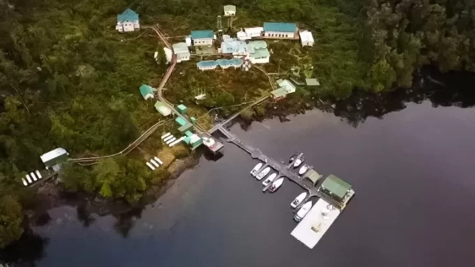 La lógica de Parodi ante los delitos ambientales de Cooke Chile