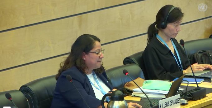 Organizaciones calificaron con rojo examen de Chile ante Comité de Derechos Económicos, Sociales y Culturales de la ONU