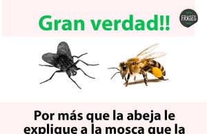 No entiendo y por favor que alguien me explique ésto
