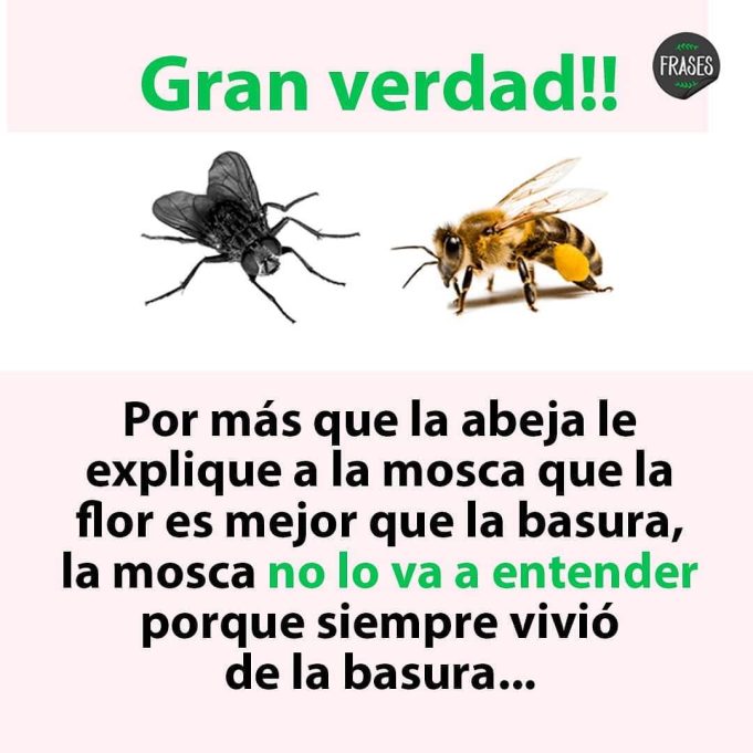 No entiendo y por favor que alguien me explique ésto