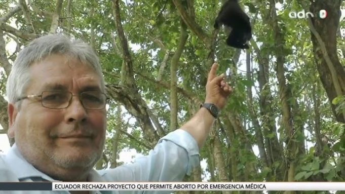 Violencia contra ambientalistas golpea con fuerza a América Latina