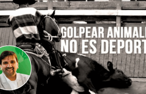 Septiembre: la fiesta de la patria y la vergüenza del rodeo