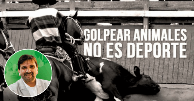 Septiembre: la fiesta de la patria y la vergüenza del rodeo