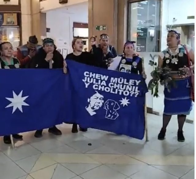 11 meses Julia Chuñil