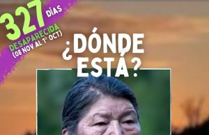 Chile – Es We Xipantu y Julia Chuñil continúa desaparecida