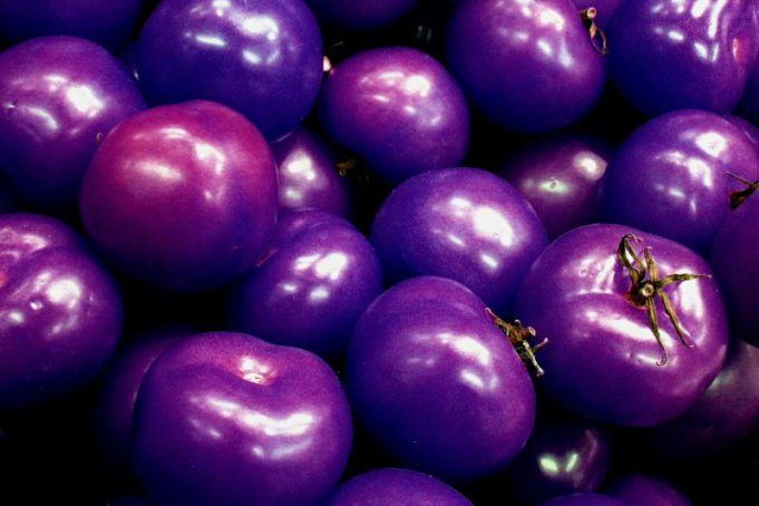 Alimentos IA