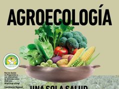 Día Internacional por el No Uso de Plaguicidas