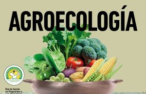 Día Internacional por el No Uso de Plaguicidas