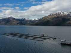 Pueblo Kawésqar en resistencia frente a la intervención política y salmonera en los planes de manejo