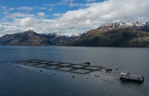 Pueblo Kawésqar en resistencia frente a la intervención política y salmonera en los planes de manejo