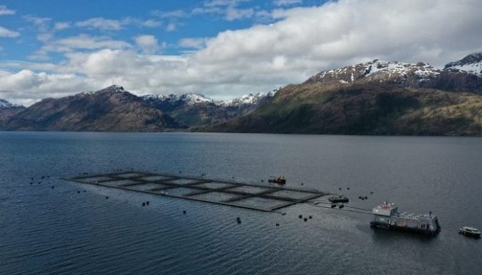 Pueblo Kawésqar en resistencia frente a la intervención política y salmonera en los planes de manejo
