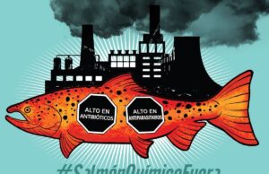 Salmón químico chileno