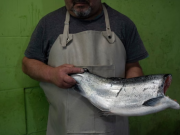 “Quienes comen salmón chileno no pueden imaginar cuánta sangre humana lleva consigo”